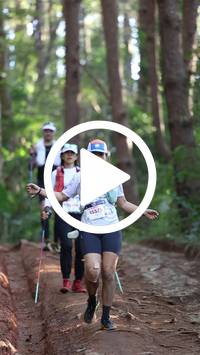 BIB:  <button type="button" onclick="openModal(26569869)" class="btn btn-primary btn-sm float-right" data-toggle="modal" data-target=".modal-high-quality">
                <i class="fa fa-download"></i> Download
                </button>